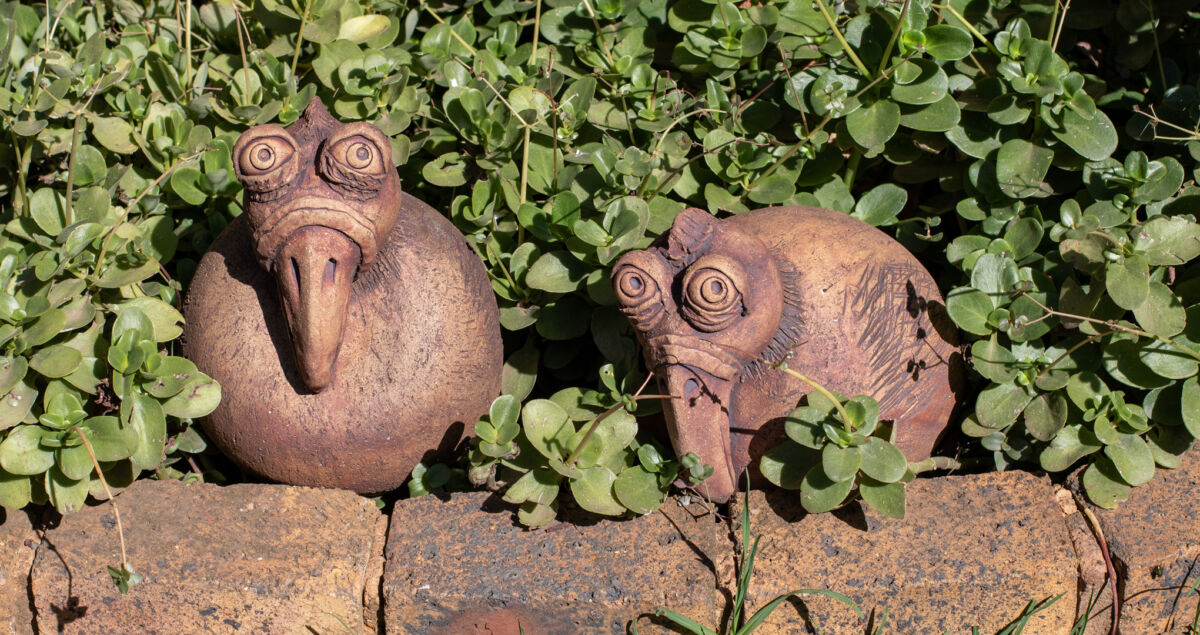 299187499 1080X1080 1