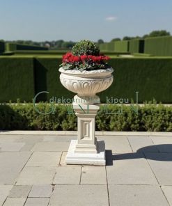 IMG 9060