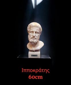Ιπποκράτης Kεφάλι 60 cm